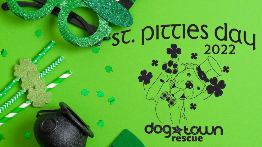 Lansdale, PA based Round Guys Brewing Company partners with DogTown Dog Rescue on March 19th for St. Pitties Day!